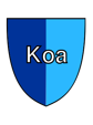 Kolomna FC